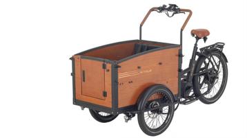 Elektrische bakfietsen Nieuw en Gebruikt vanaf 1995 euro beschikbaar voor biedingen