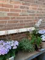 Antieke franse kapstok met vijf haken, Zo goed als nieuw, Minder dan 100 cm, Hout, Ophalen