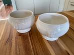 2 soepkommen leeuwenkop, Huis en Inrichting, Keuken | Servies, Ophalen, Zo goed als nieuw, Kom(men), Overige stijlen