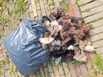 Gratis op te halen een zak schapenwol., Ophalen