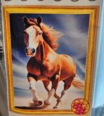 Diamond paintings 50x40 ronde steentjes, Hobby en Vrije tijd, Diamond painting world 2021@gmail.com, Nieuw, Ophalen of Verzenden