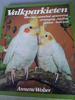 Mooi boek valkparkieten Nederlands IZGST oa parel en witkop, Boeken, Dieren en Huisdieren, Ophalen of Verzenden, Vogels