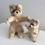 Steiff wasbeer ‘Raccy' 17 cm, Ophalen of Verzenden, Gebruikt