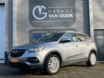 Opel Grandland X 1.2 Turbo 131PK Clima,Cruise,AppleCarPlay,S beschikbaar voor biedingen