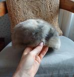 Nerts muts, Hoed, Muts, Nieuw, One size fits all