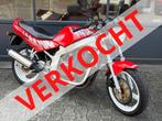 Suzuki GS500 E  500E SLINGSHOT, Contact via Suzuki website, Suzuki Motor Corporation, Bedrijf, Toermotor