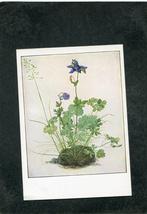 Fotokaart Albrecht Durer - Akelei, Verzenden, Ongelopen