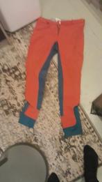 2x Paardrijbroek Maat 40, Ophalen of Verzenden, Onderkleding