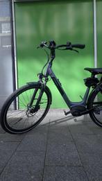 Pegasus Siena E7f, Gebruikt, 47 tot 51 cm, 50 km per accu of meer, Ophalen