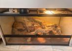 Terrarium 90x45x45, Dieren en Toebehoren, Ophalen, Gebruikt, Terrarium of Paludarium