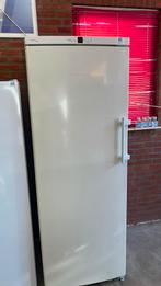Nette gebruikte diepvrieskasten, Witgoed en Apparatuur, Vriezers en Diepvrieskisten, Ophalen, 160 cm of meer, Zo goed als nieuw