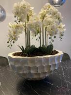 GEZOCHT deze schelpenvaas 75-80 breed, Ophalen, Zo goed als nieuw, Rechthoekig, Riet