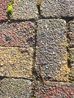 Tegelpad zelf uit te halen of..., Tuin en Terras, Ophalen of Verzenden, Gebruikt, Beton, Klinkers