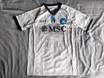 SC Napoli 23/24 Uit Maat L, Maat L, Verzenden, Nieuw, Shirt