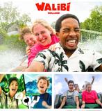 2 tickets walibi NL, Tickets en Kaartjes, Twee personen