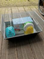 Hamsterkooi, Dieren en Toebehoren, Knaagdieren en Konijnen | Hokken en Kooien, Kooi, Minder dan 75 cm, Minder dan 60 cm, Ophalen of Verzenden