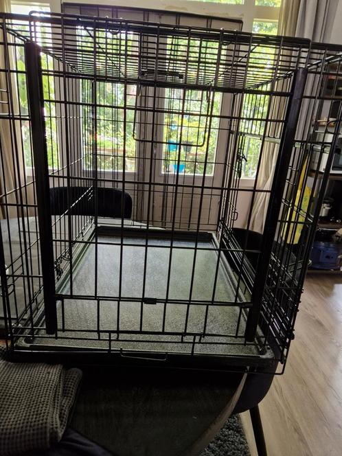 Honden bench, Dieren en Toebehoren, Hondenbenches, Nieuw, Ophalen