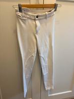 Witte paardrij broek, Dieren en Toebehoren, Ophalen, Zo goed als nieuw, Dressuur, Onderkleding