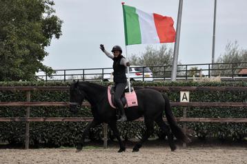 UNIEK! Top brave en onwijs lieve, rustige MURGESE merrie beschikbaar voor biedingen