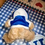 Ameland beer knuffel met blauwe hoodie 19 cm, Ophalen of Verzenden, Beer