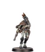 Kroot pistolier (2 options) on sprue 40k, Hobby en Vrije tijd, Wargaming, Ophalen of Verzenden, Zo goed als nieuw, Warhammer 40000