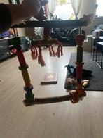 Papegaai schommel groot, Mannelijk, Papegaai