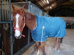 Harry’s horse staldeken winterdeken maat 185, Ophalen of Verzenden, Gebruikt