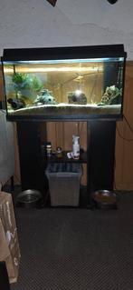 Juwel primo 110 aquarium, Dieren en Toebehoren, Ophalen, Gebruikt, Gevuld zoetwateraquarium