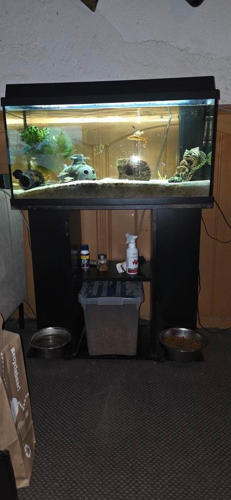 Juwel primo 110 aquarium, Dieren en Toebehoren, Vissen | Aquaria en Toebehoren, Gebruikt, Gevuld zoetwateraquarium, Ophalen