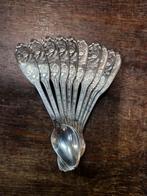 Theelepel, Ophalen of Verzenden, Gebruikt, Metaal, Bestek