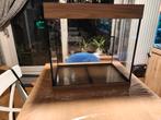 Juwel aquarium, Dieren en Toebehoren, Ophalen of Verzenden, Gebruikt, Leeg aquarium