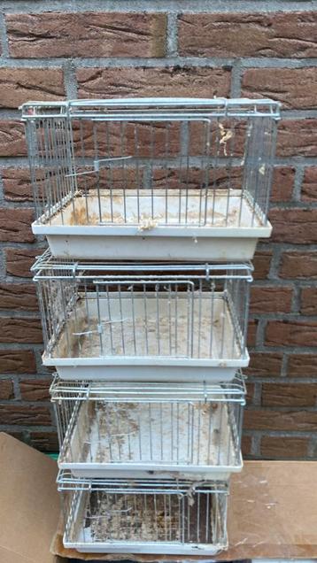 Te koop 4 kleine kooitjes beschikbaar voor biedingen