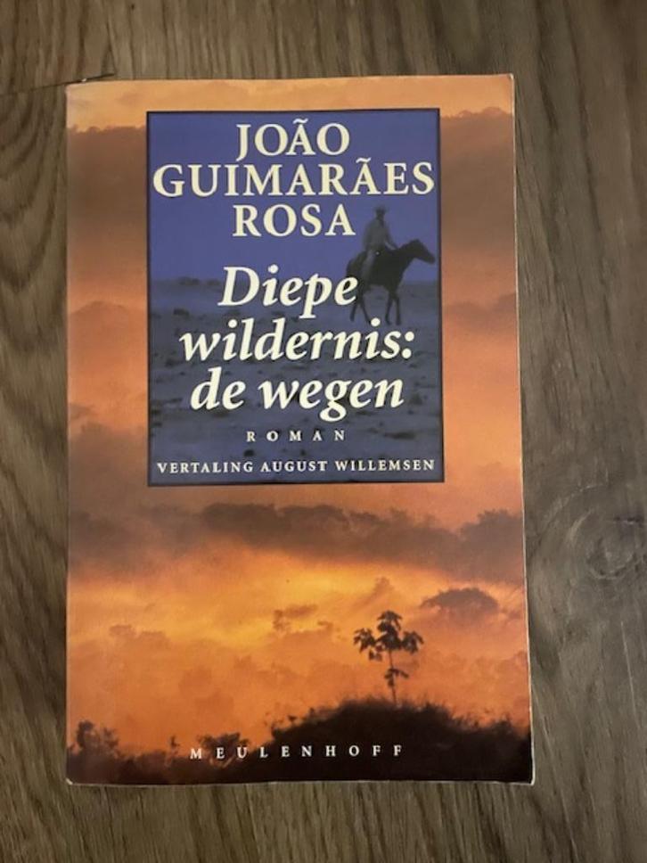 Diepe wildernis: de wegen van João Guimarães Rosa, Boeken, Romans, Zo goed als nieuw, Wereld overig, Ophalen of Verzenden