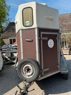 Trailer, Dieren en Toebehoren, Merrie, Minder dan 160 cm, Gechipt, Niet van toepassing