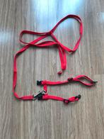 kitten/kleine hond tuigje met riem, Ophalen of Verzenden, Nieuw