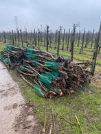 Appelhout te koop, Tuin en Terras, Haardhout, Ophalen of Verzenden, Blokken, Overige houtsoorten