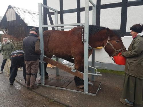 Bekapbox trekpaard, Dieren en Toebehoren, Paarden en Pony's | Overige Paardenspullen, Overige soorten, Ophalen