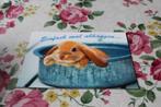 Knaagdieren Postkaart - Konijnen Baby kijkt uit Schaaltje, Verzamelen, Ansichtkaarten | Dieren, Verzenden, 1980 tot heden, Ongelopen