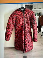 Winter jas dames, Kleding | Dames, Ophalen of Verzenden, Gedragen