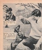 Retro reclame 1963 Chappie hondenvoer teckel hond, Verzamelen, Retro, Verzenden, Overige typen