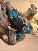 Halsband, Dieren en Toebehoren, Ophalen of Verzenden, Nieuw, Hondenriem