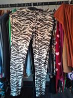 Nieuw Ambika pak broek+blouse 36-40, Ambika, Ophalen of Verzenden, Nieuw, Maat 36 (S)