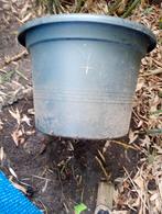 Cementbak 2x of bloembak(nieuw), Ophalen, Kunststof, 40 cm of meer, Rond