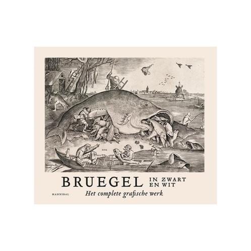 Bruegel In Zwart En Wit, Boeken, Kunst en Cultuur | Beeldend, Nieuw, Schilder- en Tekenkunst, Ophalen of Verzenden