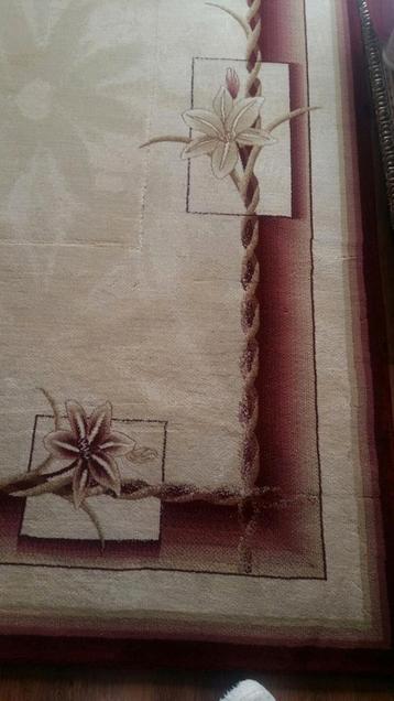 Mooi Leganza Tapijt beschikbaar voor biedingen