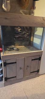 Aquarium 80x50x50 met 3x 32mm bodemdoorvoer, Ophalen, Leeg aquarium