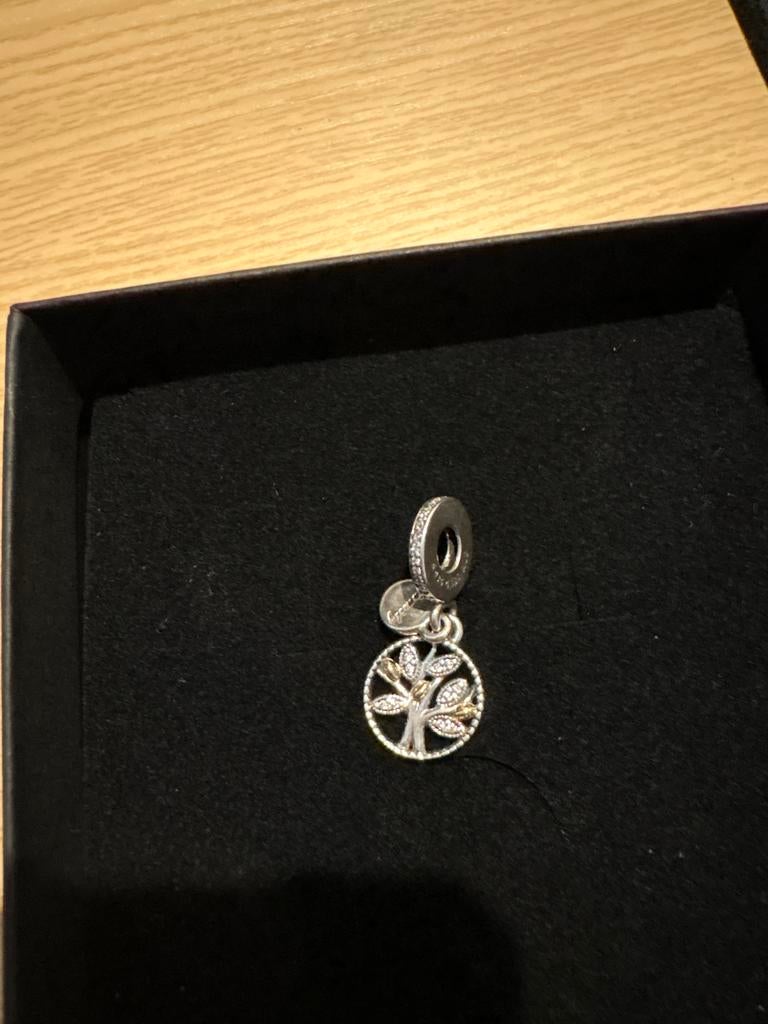 Zilveren bedeltje familieboom, Overige merken, Ophalen of Verzenden, Zo goed als nieuw, 1 bedel