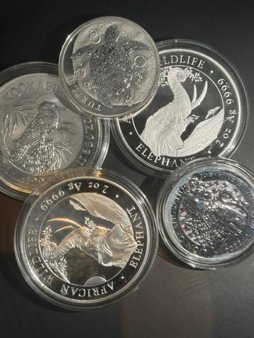 10oz zilver - Elepant - kookaburra - lion - turtle - 2oz beschikbaar voor biedingen