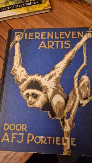Dierenleven in Artis - AFJ Portielje beschikbaar voor biedingen