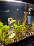 Superfish aquarium zwart 25 liter led, Dieren en Toebehoren, Vissen | Aquaria en Toebehoren, Ophalen, Zo goed als nieuw, Leeg aquarium